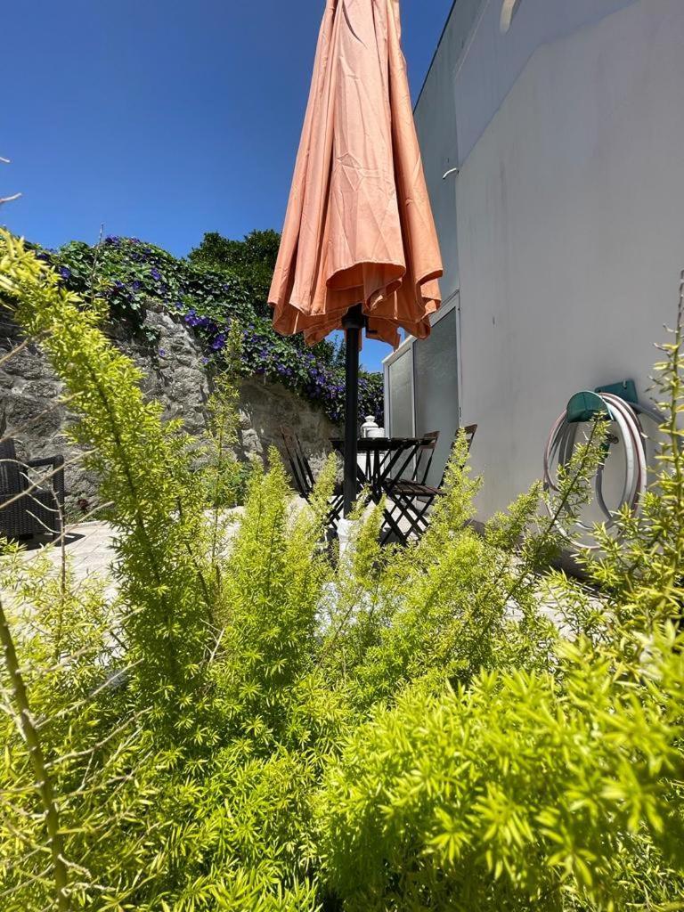 Burgaes II Apartment OOporto Esterno foto